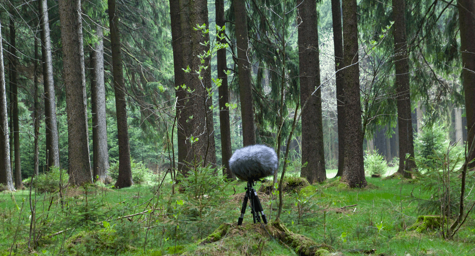 recording natural sounds