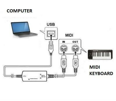 what is a midi