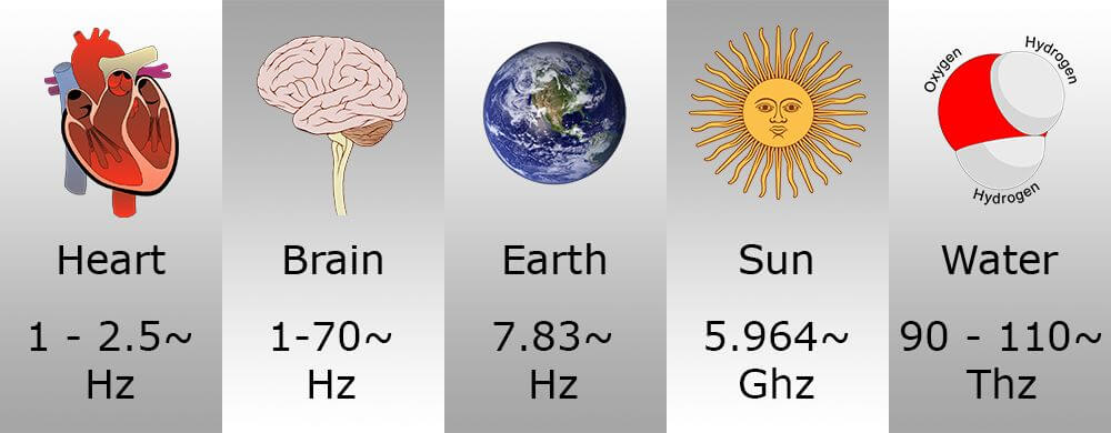 heart brain earth sun water