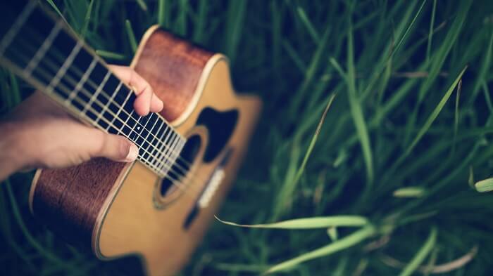 acoustic guitar in nature