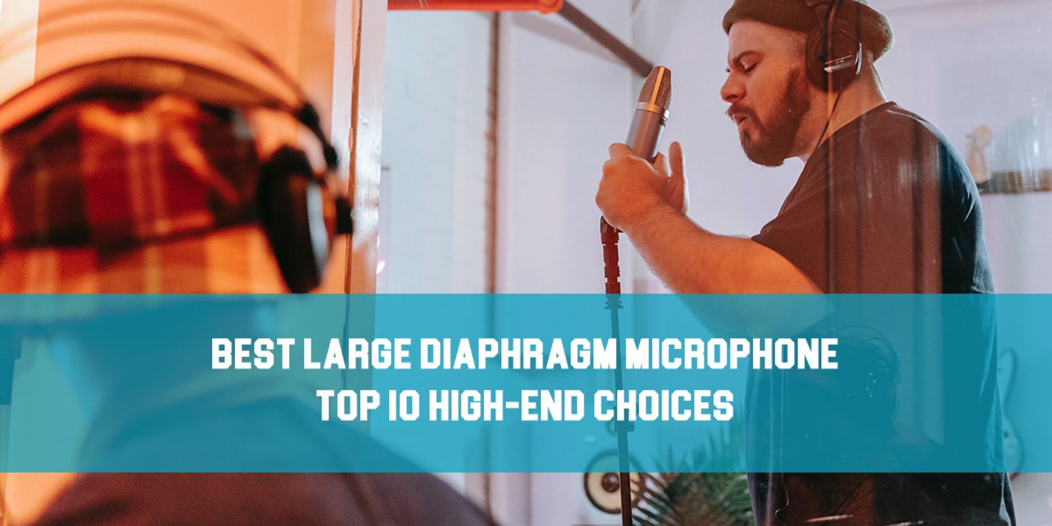 Best Large Diaphragm Microphones Top 10 HighEnd Choices! Mixing Tips